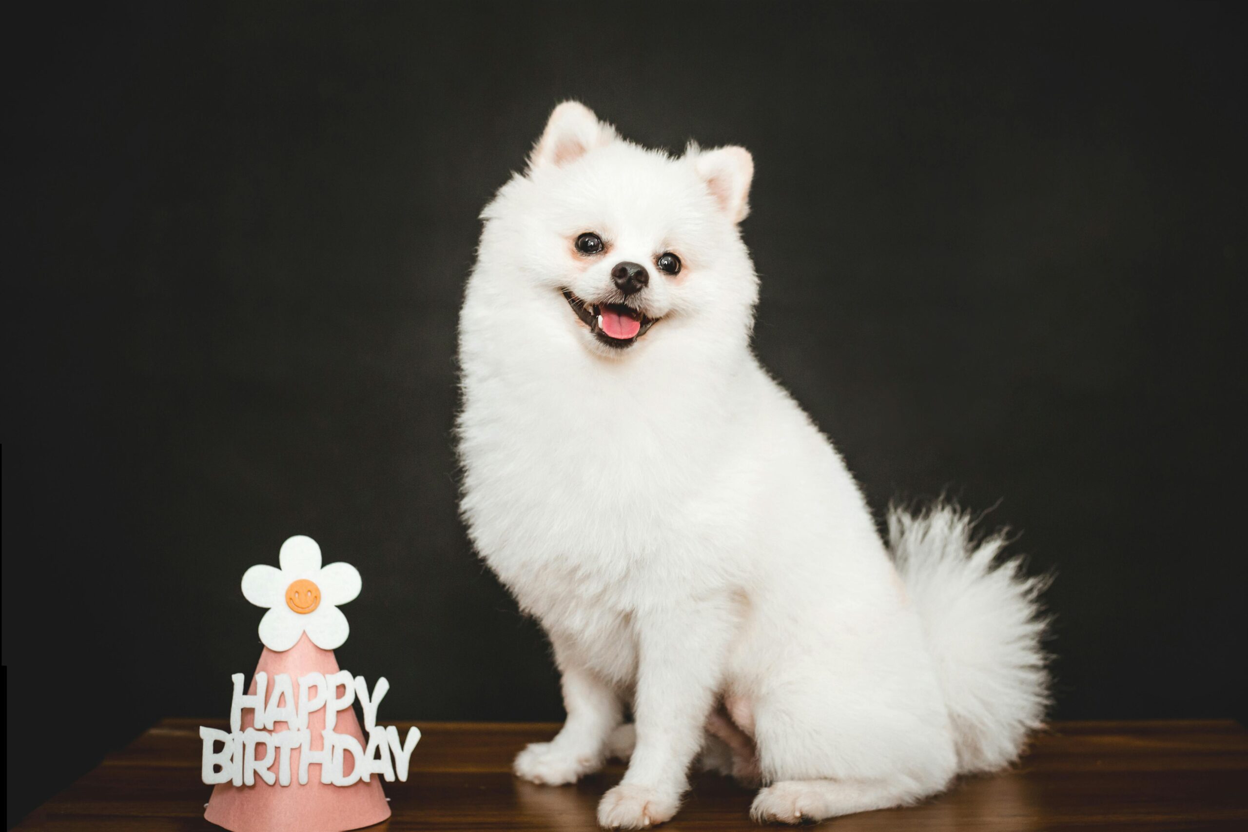 birthday funny friend male celebration