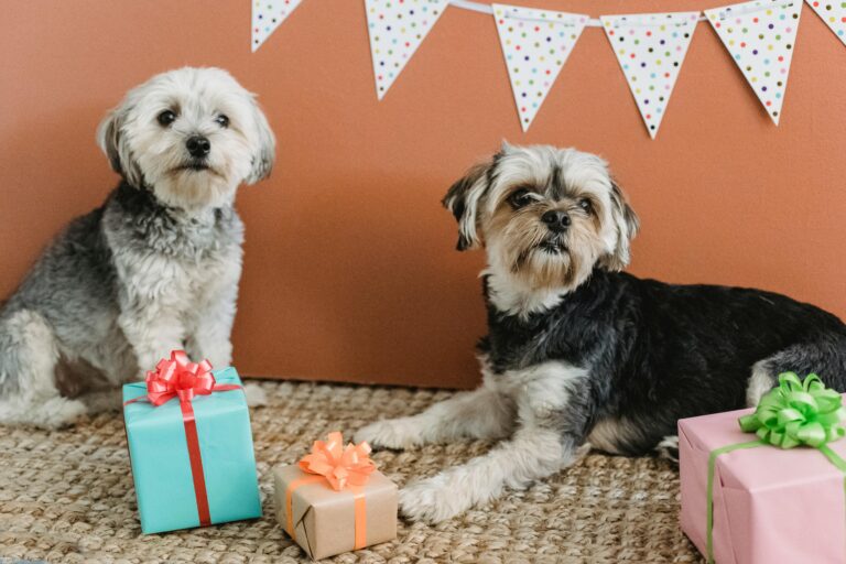 birthday wishes boyfriend friend celebration